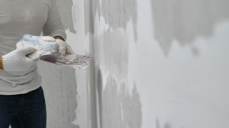 Best Drywall Sanding and Smoothing  in Zephyrhills North, FL